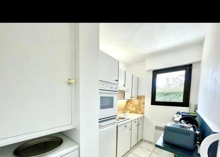 Avec Terrasse Et Jardin Apartament *